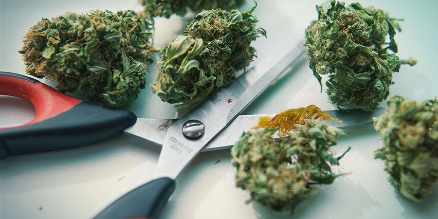 Geschichte Von GG#4 Geschichte Von GG#4