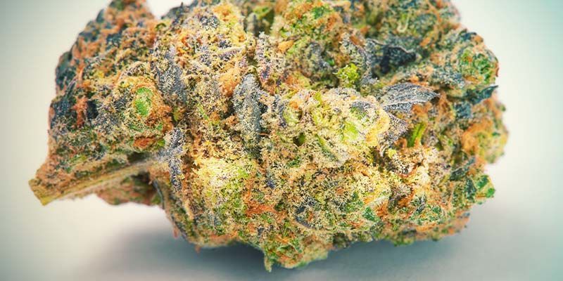 Sei Vorsichtig Mit Übermäßiger Feuchtigkeit Und Schimmel Sei vorsichtig mit übermäßiger Feuchtigkeit und Schimmel