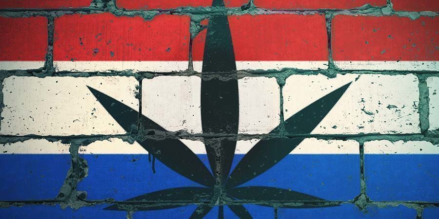 Neville Schoenmaker Neville Schoenmaker