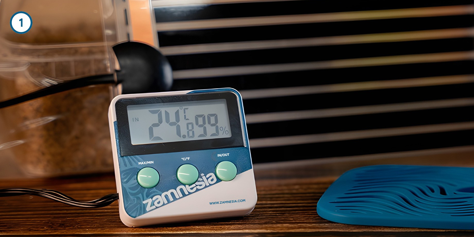 Zauberpilz-Myzel zu Hause kultivieren