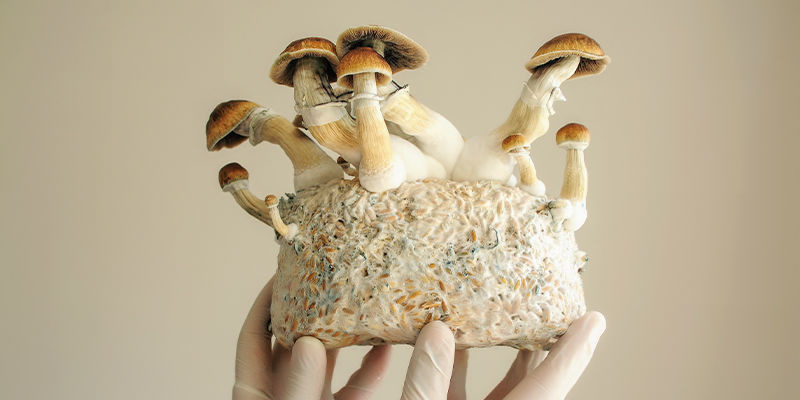 Rechtslage Rechtslage