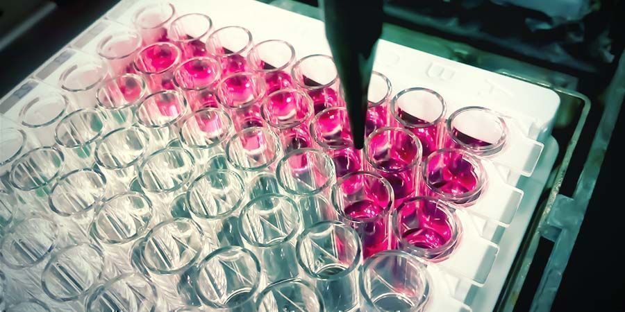 Wonach Suchen Drogentests? Wonach suchen Drogentests?