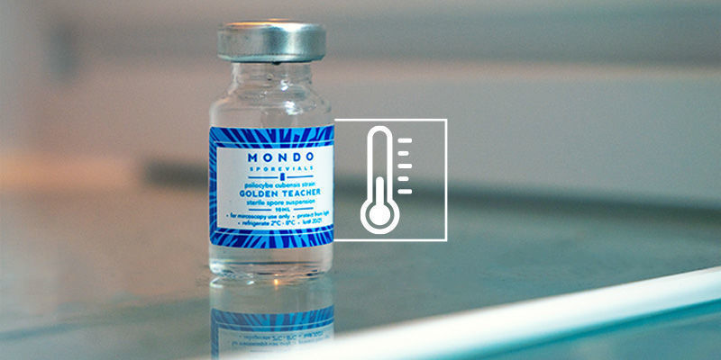 Wie lange halten sich Sporenampullen?