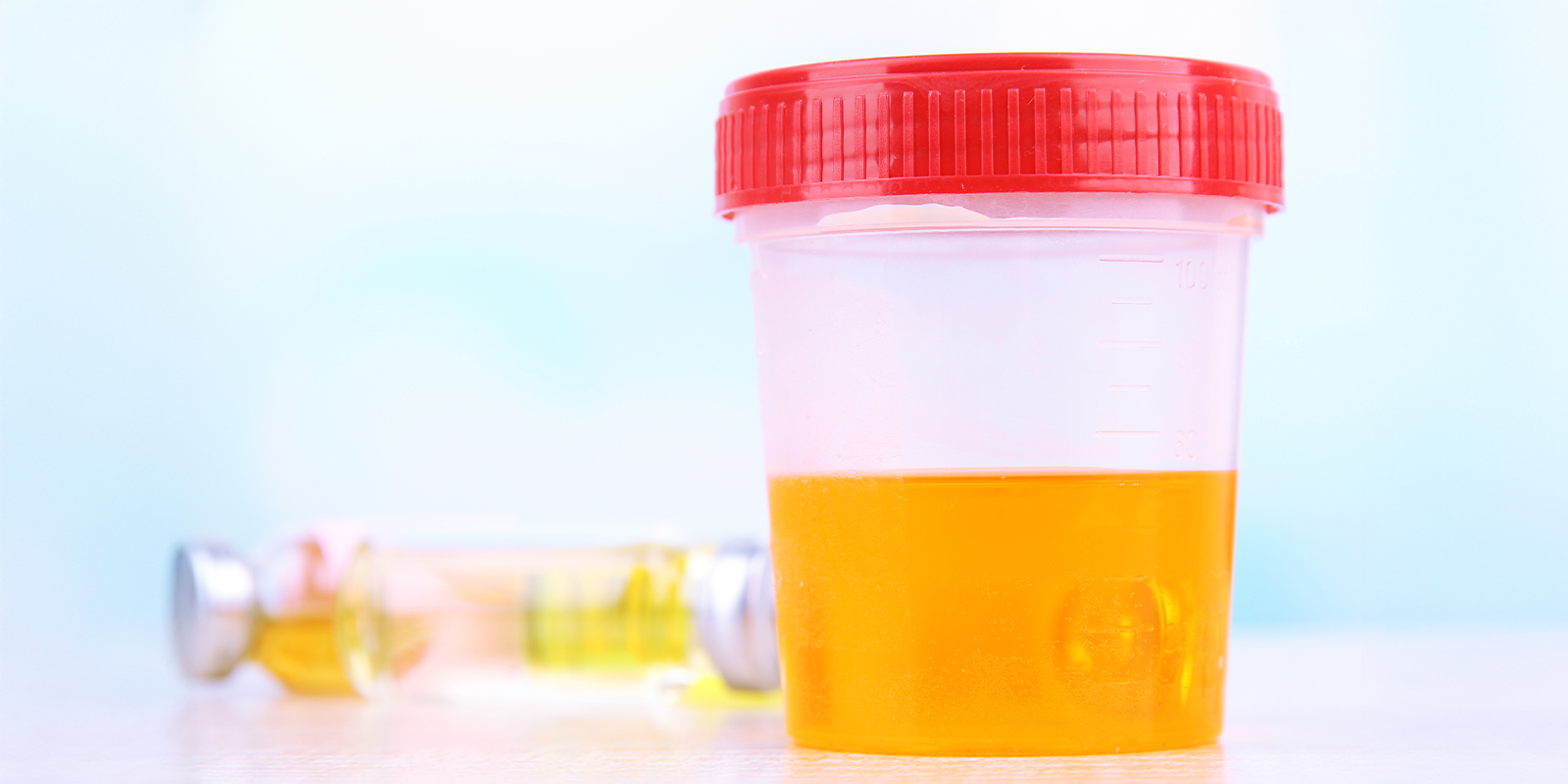 Wissenschaft schl&auml;gt Mythen