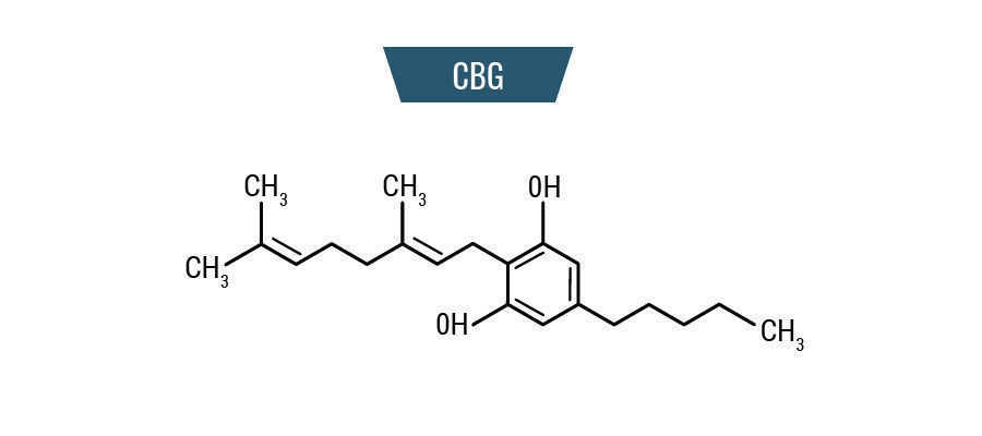 Molekül CBG Molekül CBG