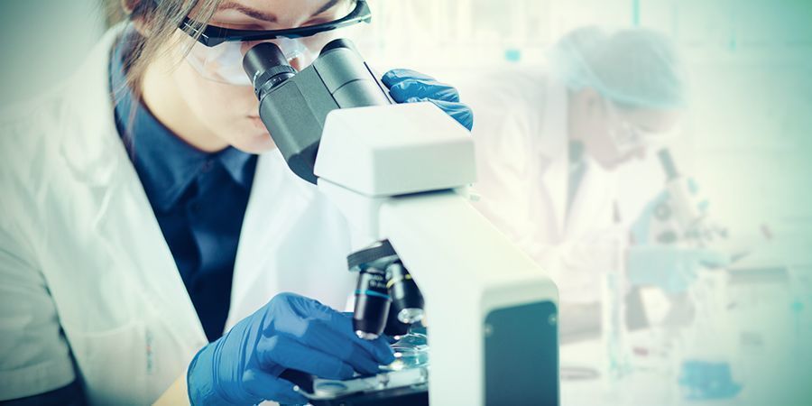 Der Mechanismus Von CBG DER MECHANISMUS VON CBG