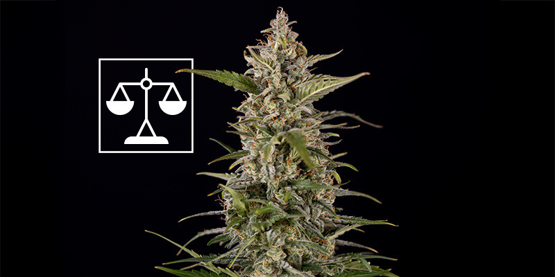 Die richtige Balance finden Die richtige Balance finden