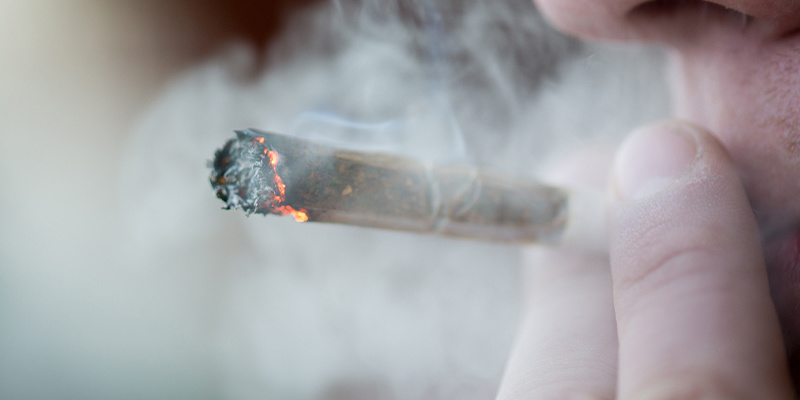 Machen 1:1 THC-Sorten high? Machen 1:1 THC-Sorten high?