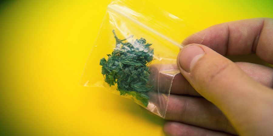 Tipps,wie Du Den Grasgeruch In Der Öffentlichkeit Verbirgst Tipps,wie Du Den Grasgeruch In Der Öffentlichkeit Verbirgst