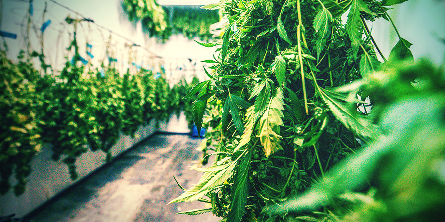 Trocknen Und Aushärten