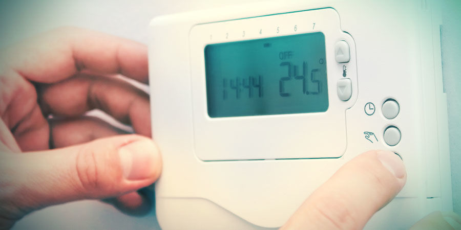 Kontrolle Des Pflanzenwachstums Kontrolle Des Pflanzenwachstums