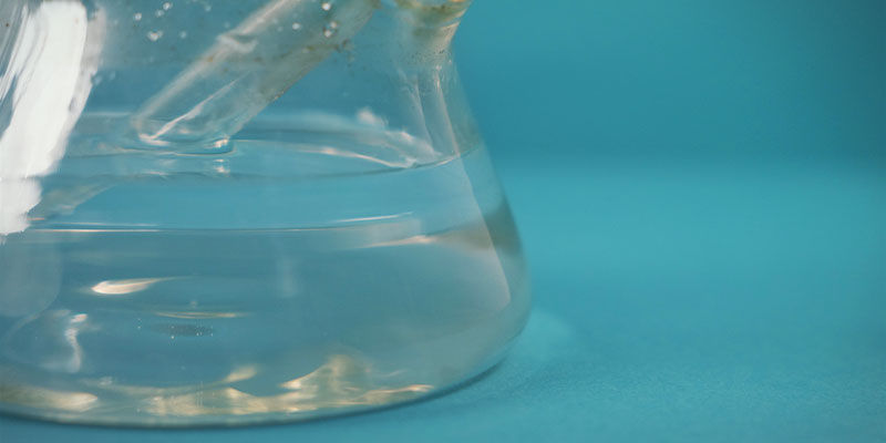 Bongs Bieten Wasserfilterung Bongs bieten Wasserfilterung