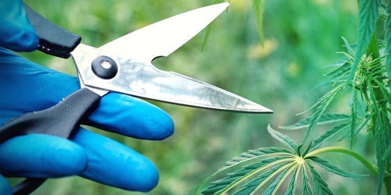 Kappen Und Fimming KAPPEN UND FIMMING