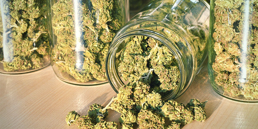 Wie Entsteht CBN? Wie Entsteht CBN?