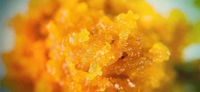 Dabbing Live Resin Dabbing Live Resin