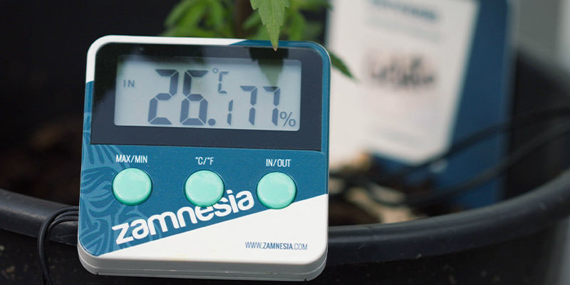 2–3 Wochen Vor Der Ernte 2–3 Wochen Vor Der Ernte