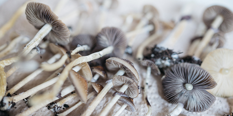 Was sind Nootropika? Was sind Nootropika?