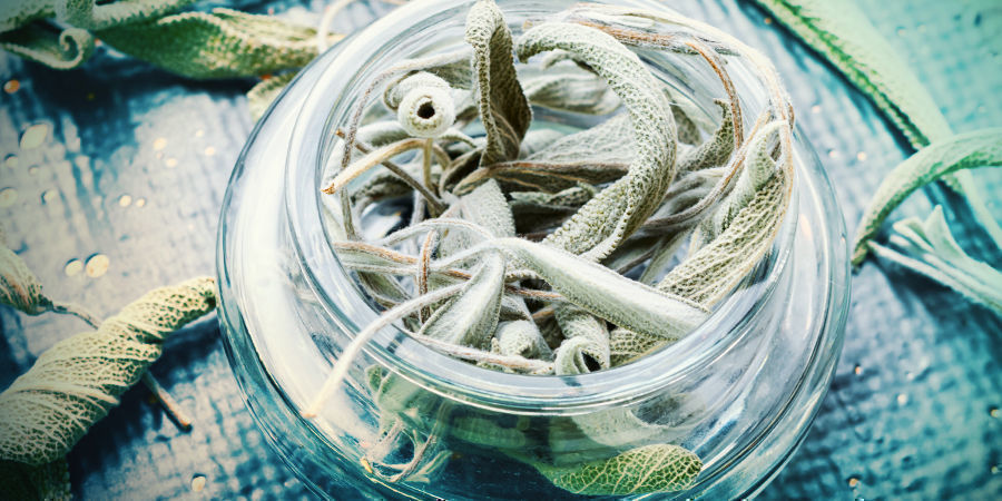 Wie Wirkt Salvia Und Wie Sieht Es Mit Der Richtigen Dosierung Aus? Wie Wirkt Salvia Und Wie Sieht Es Mit Der Richtigen Dosierung Aus?