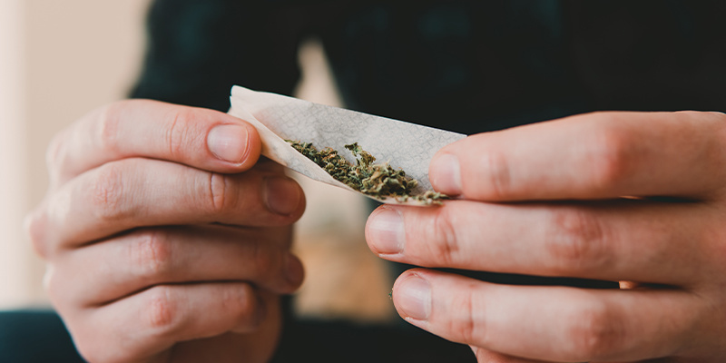 Finde dein Cannabis-Gleichgewicht Finde dein Cannabis-Gleichgewicht