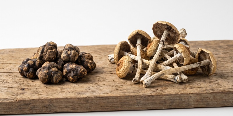 Was Ist Der Unterschied Zwischen Magic Trüffeln Und Magic Mushrooms? Was Ist Der Unterschied Zwischen Magic Trüffeln Und Magic Mushrooms?
