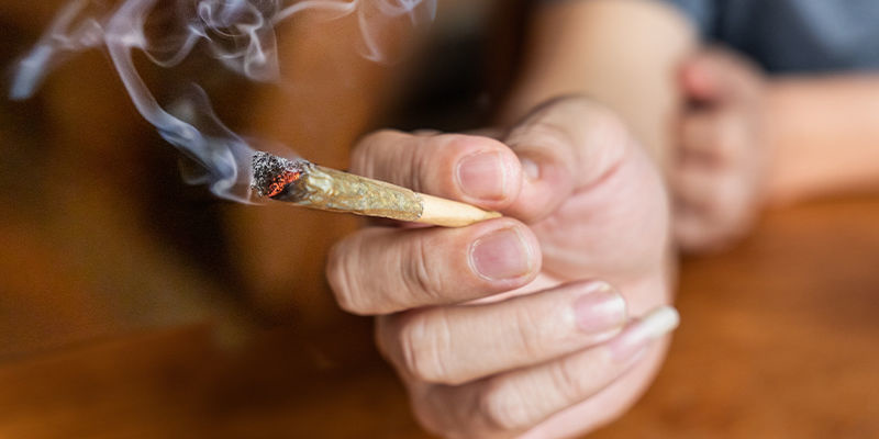 Zum Verständnis der Wirkung von Cannabis