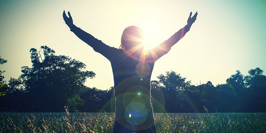 Pharmakologische Effekte Salvia Pharmakologische Effekte Salvia