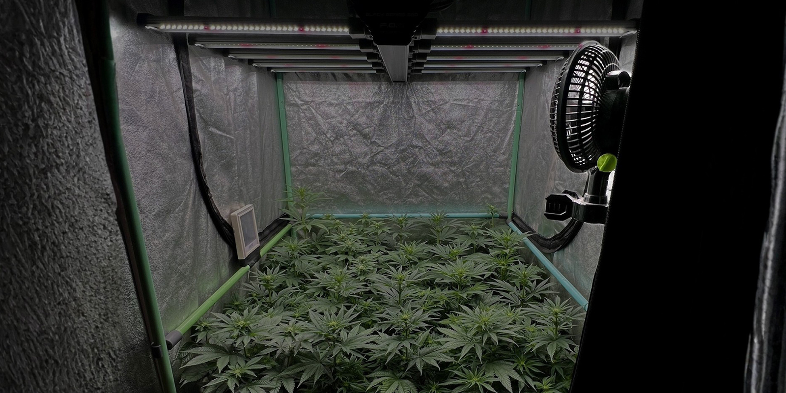 Die Luftfeuchtigkeit im Gleichgewicht halten, um Schimmel zu vermeiden