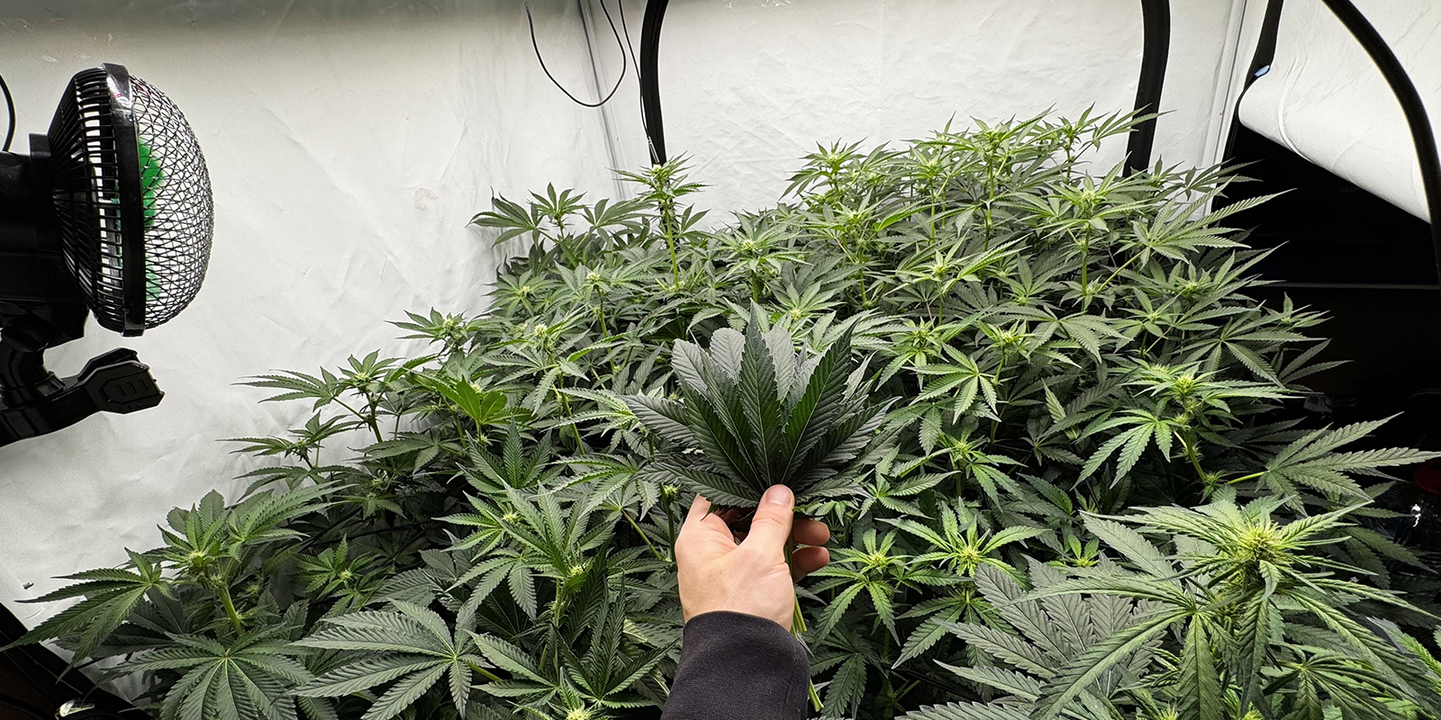 Timing sorgf&auml;ltig planen