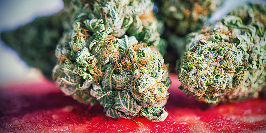 Die Besten Cannabissorten Zum Meditieren DIE BESTEN CANNABISSORTEN ZUM MEDITIEREN