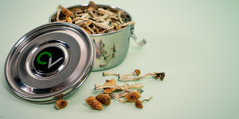 Lagerung Magic Mushrooms: Lagerung