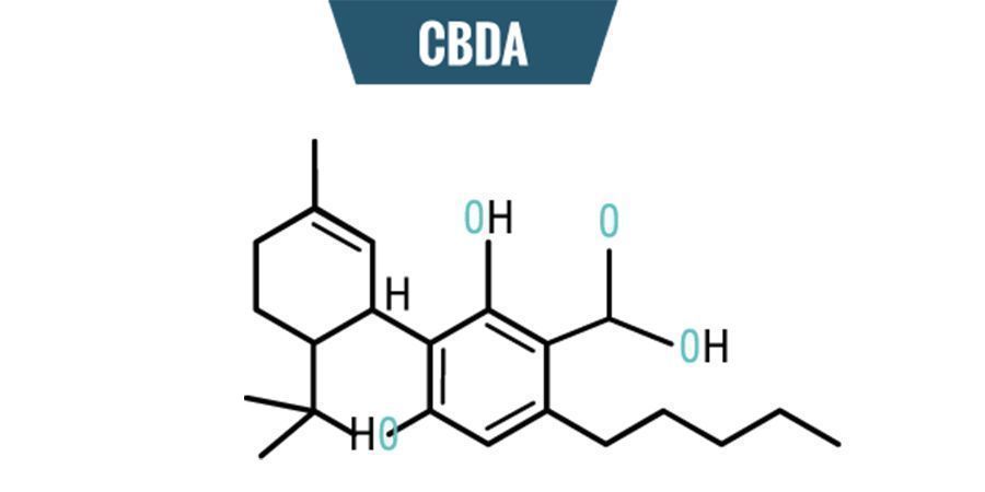 Chemie von CBDA Chemie von CBDA