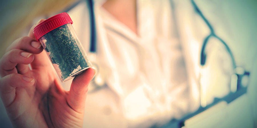 Die Wichtigkeit Alternativer Quellen Für Cannabinoide Die Wichtigkeit Alternativer Quellen Für Cannabinoide