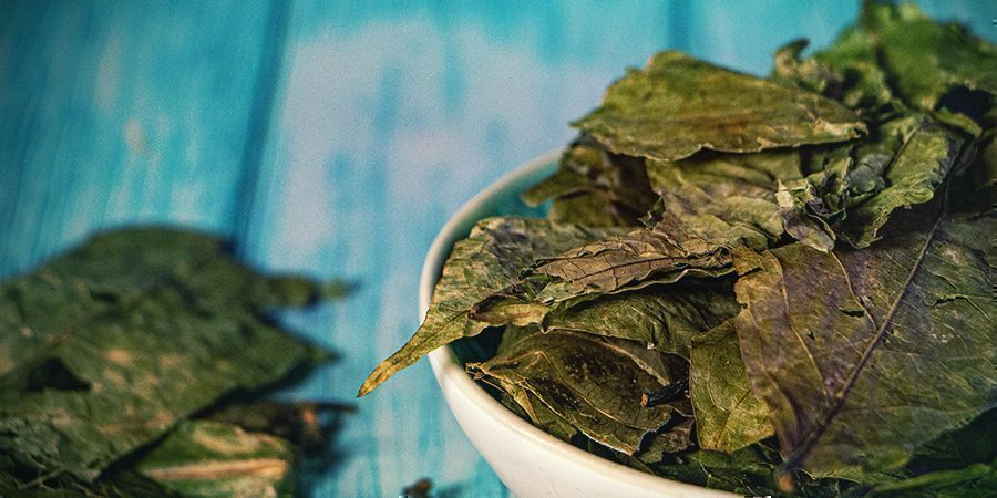 Was Ist Ayahuasca? Was Ist Ayahuasca?