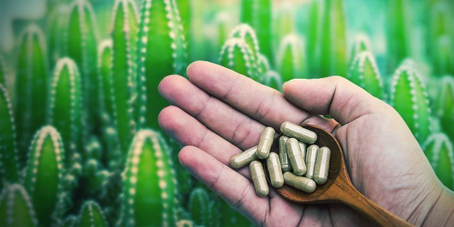 Meskalin Ist In Mikrodots Oder Mikrodosen Erhältlich Meskalin Ist In Mikrodots Oder Mikrodosen Erhältlich