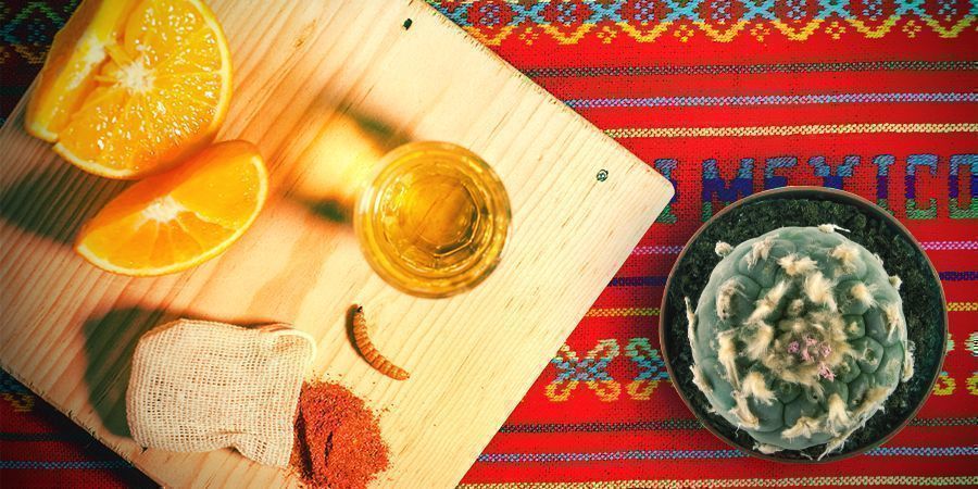 Mezcal Und Meskalin Sind Miteinander Verwandt Mezcal Und Meskalin Sind Miteinander Verwandt
