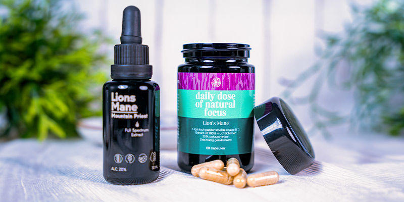 Affenkopfpilz – Ein Pilzartiges Gehirn-Tonikum Affenkopfpilz – ein pilzartiges Gehirn-Tonikum