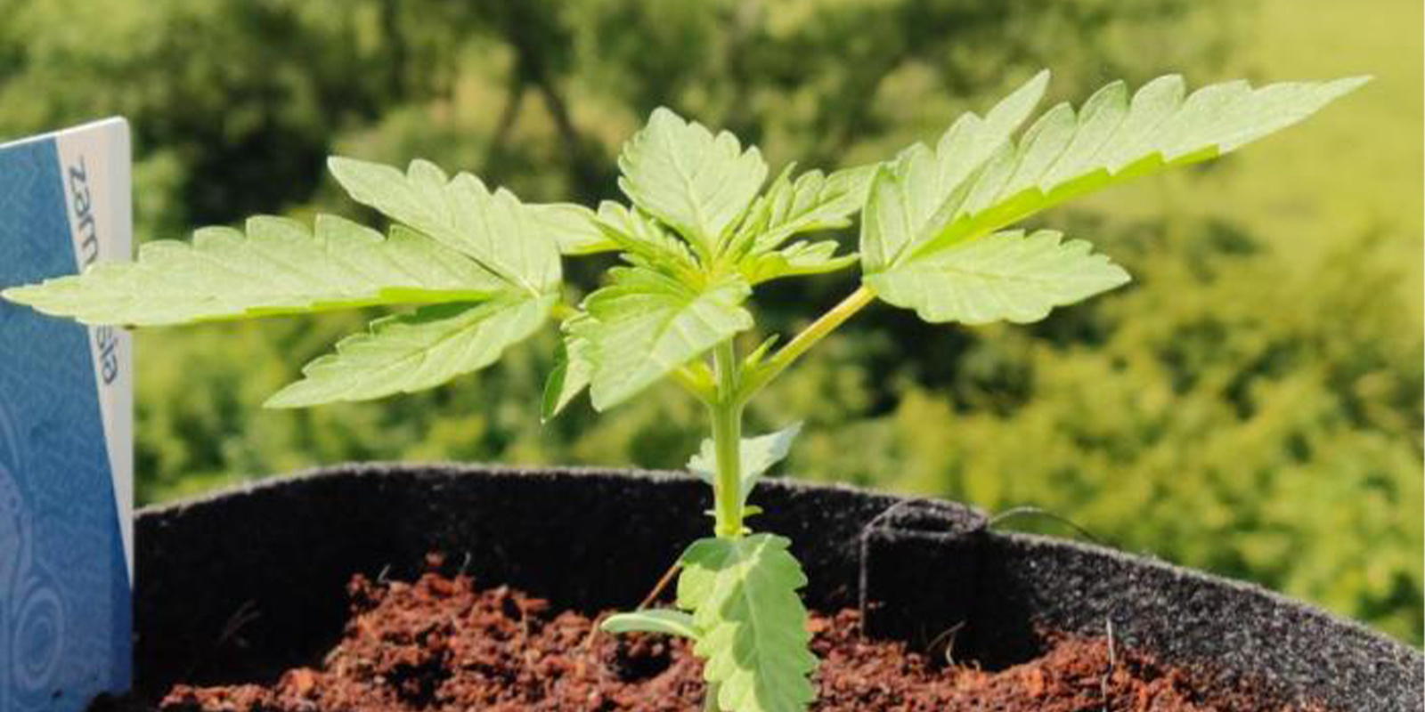 Regionen mit besseren Chancen Regionen mit besseren Chancen