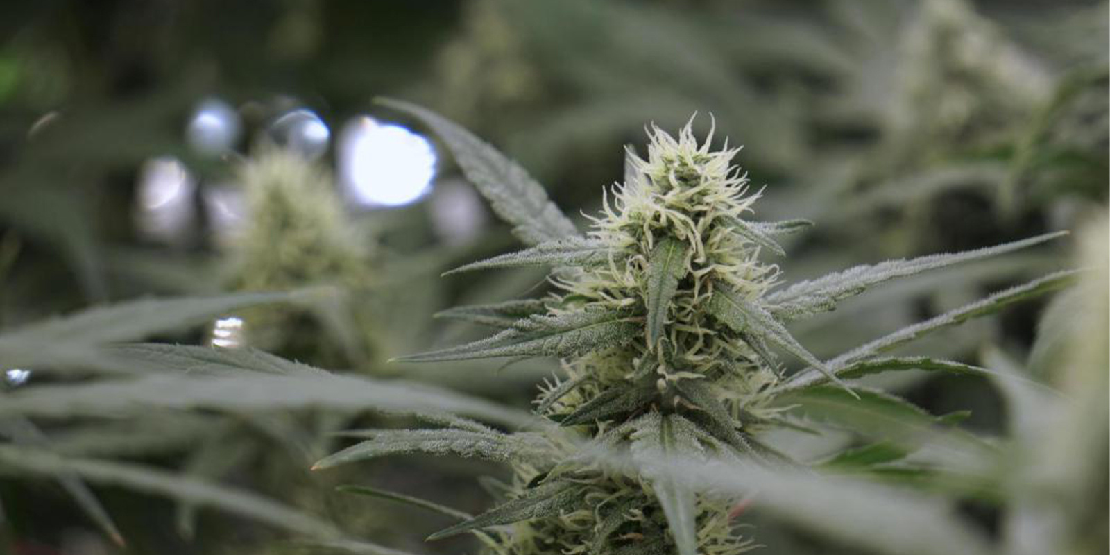 Indoor als Alternative Indoor als Alternative