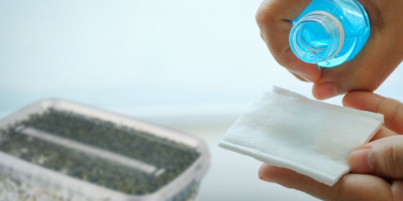 Das Wichtigste Zuerst: Schaffe Einen Sterilen Arbeitsbereich Das Wichtigste zuerst: Schaffe einen sterilen Arbeitsbereich