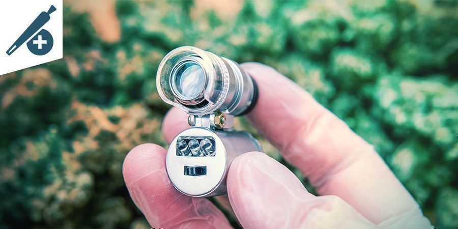 Die Nutzen Eines Mikroskops Für Raucherdie Nutzen Eines Mikroskops Für Raucher DIE NUTZEN EINES MIKROSKOPS FÜR CANNABIS RAUCHER