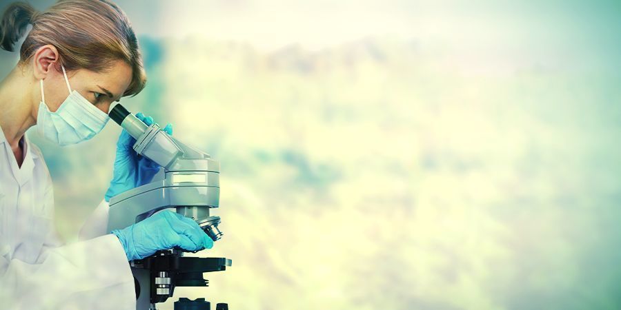 Die Herausforderungen Bei Der Verwendung Eines Mikroskops DIE HERAUSFORDERUNGEN BEI DER VERWENDUNG EINES MIKROSKOPS