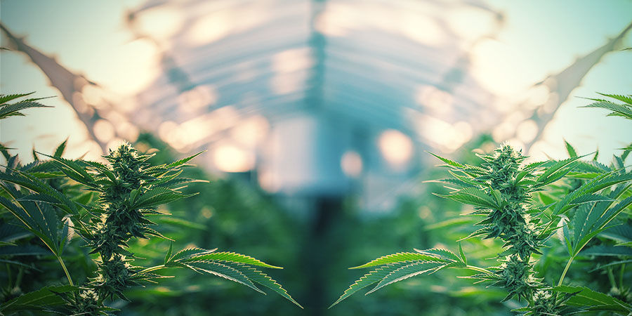 Können Bewässerungssysteme Drinnen Und Draußen Eingesetzt Werden? KÖNNEN BEWÄSSERUNGSSYSTEME DRINNEN UND DRAUẞEN EINGESETZT WERDEN?