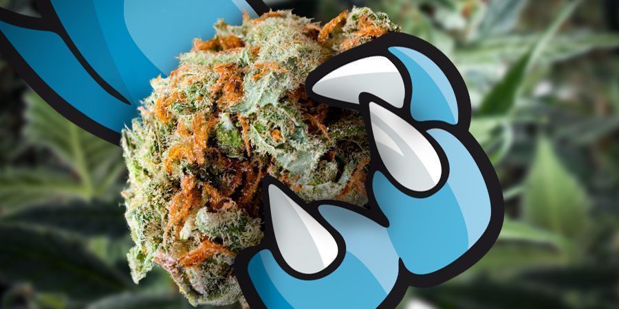 Die Effekte Von Blue Monster Automatic DIE EFFEKTE VON BLUE MONSTER AUTOMATICDIE EFFEKTE VON BLUE MONSTER AUTOMATIC