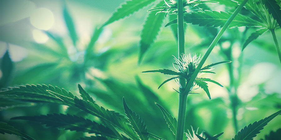 Ordentliche Haushaltsführung Ordentliche Haushaltsführung