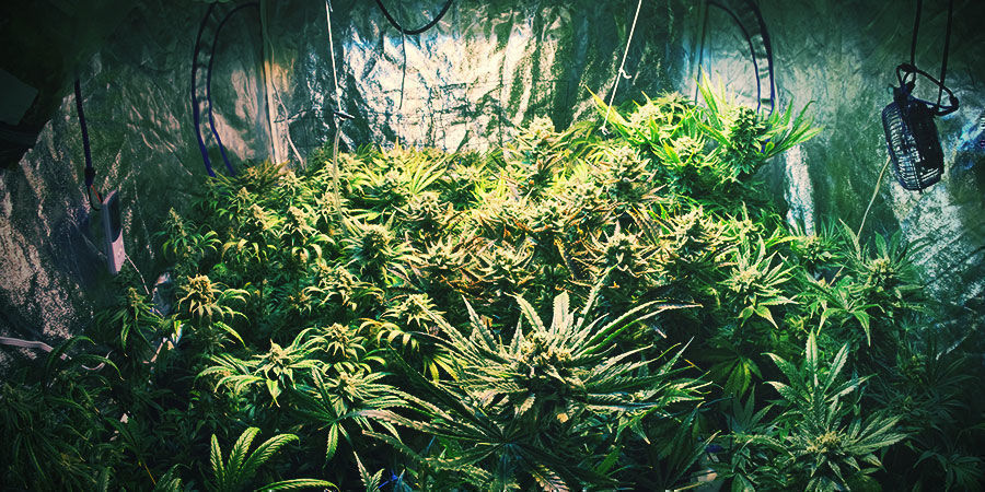 Wähle Den Passenden Raum Wähle Den Passenden Raum