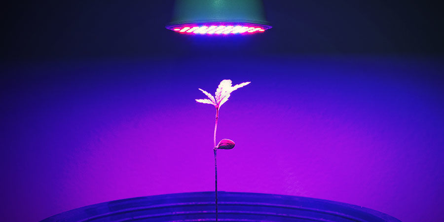 Energie Reduzieren & Geld Sparen Energie Reduzieren & Geld Sparen