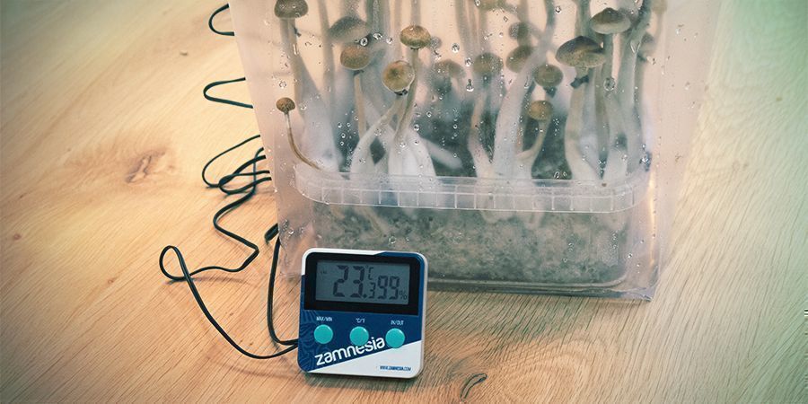 Anzahl Der Schübe Und Wie Lange Sie Brauchen Anzahl Der Schübe Und Wie Lange Sie Brauchen