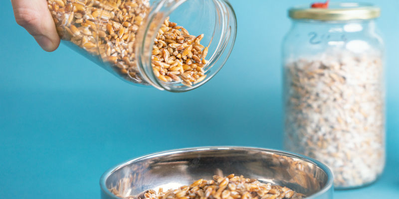 Der Nächste Schritt: Beimpfen Des Hauptsubstrats Der nächste schritt: beimpfen des hauptsubstrats