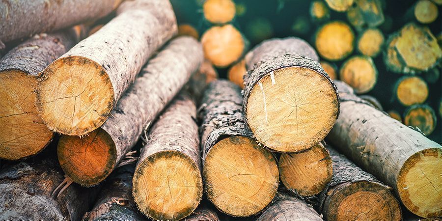 Holzscheite HOLZSCHEITE - Magic-Mushroom-Substrate