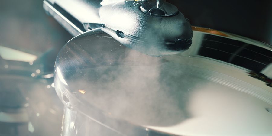 Pasteurisieren Und Sterilisieren Von Pilzsubstraten PASTEURISIEREN UND STERILISIEREN VON PILZSUBSTRATEN